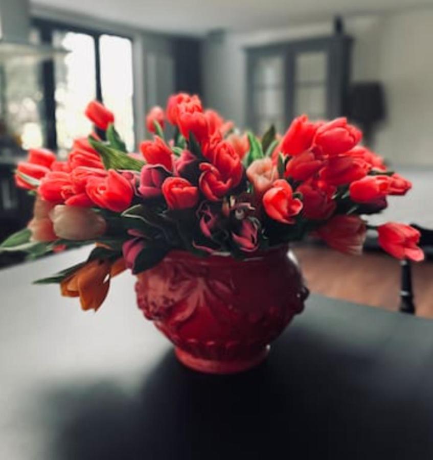 Bed And Breakfast Cherry Ζάανταμ Εξωτερικό φωτογραφία